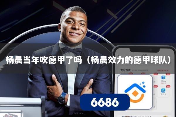 杨晨当年吹德甲了吗（杨晨效力的德甲球队）